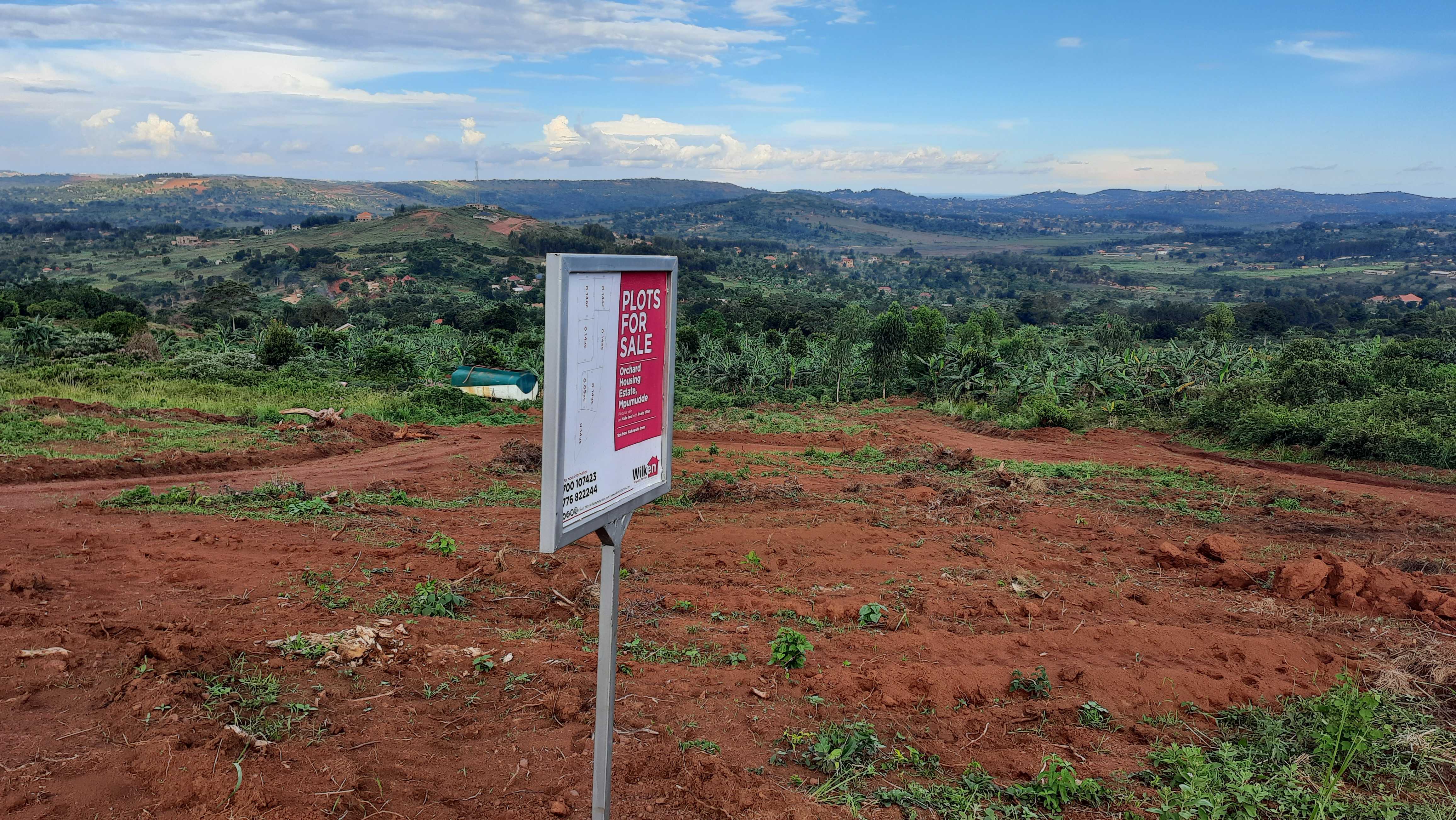 Orchard Housing Estate